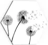 DEQORI Glasbild Echtglas 40x35 cm 'Schwarze Pusteblumen' Produktbild-Vorschau 1