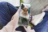 MuchoWow® Handyhülle Schutzhülle Hülle für Samsung Galaxy Produktbild-Vorschau 3