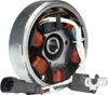 Lichtmaschine Polrad Original für Piaggio NRG TPH Gilera Produktbild-Vorschau 2