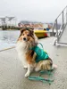 Non-stop dogwear Schwimmweste Protector Life Jacket türkis, Produktbild-Vorschau 19