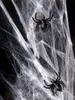 Spinnen Deko 3x3cm 10 Stück Schwarz Produktbild-Vorschau 5
