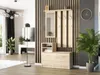 Framire Šatní skříň V-1Framire 90 x 160 x 30 cm sonoma Náhled obrázku produktu 4