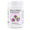 OLDELA SILYMARIN PREMIUM mit Cholin für deine Leber und Produktbild-Vorschau 1