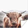 MuchoWow® Poster Schottischer Highlander - Berg - Hoorn Produktbild-Vorschau 1