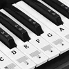 Piano Stickers - Keyboard Stickers - Eenvoudig Muzieknoten Productafbeelding-voorbeeld 1