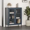 A dark blue metal cabinet with glass doors, showcasing decorative items and books on its shelves, placed in a room with a large potted plant. Podgląd zdjęcia produktu