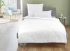 Steppdecke Irisette Alpaka leicht - 155x220 cm Produktbild-Vorschau 6