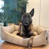 A dog is lying in its bed in a room with plants in the background. Náhled obrázku produktu