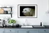 MuchoWow® MuchoWow® Gerahmtes Poster Nahaufnahme Eisbär Produktbild-Vorschau 4