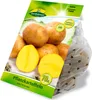 Pflanzkartoffel Gala (10 Stück) (gelb, vorwiegend Produktbild-Vorschau 2