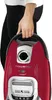 ROWENTA Bodenstaubsauger 400W 4,5L Permanentfilter ro RO Anteprima dell’immagine prodotto 11