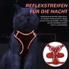 Ensemble de gamelle pour chat avec laisse, anti-évasion, Voir les images du produit 5