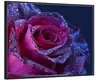 Wallario Wandbild Rote Rosenblüte im Regen, Größe: 40,30 x Produktbild-Vorschau 2