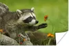 MuchoWow® Poster Waschbär - Blumen - Orange 30x20 cm - Produktbild-Vorschau 1