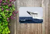 Gartenposter - 60x40 cm - Wal springt im blauen Wasser Produktbild-Vorschau 6