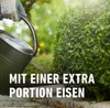 COMPO Buchsbaum- und Ilex Langzeit-Dünger - 2 kg für ca. 35 Produktbild-Vorschau 4