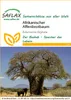 SAFLAX - Afrikanischer Affenbrotbaum - 6 Samen - Adansonia Produktbild-Vorschau 9