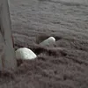 Tappeto soggiorno a pelo lungo morbido finto pelo di Anteprima dell’immagine prodotto 3