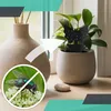 Kuketo | Insektenfalle Motten - Schwarz - 12 Stück - Produktbild-Vorschau 4