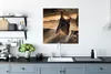 MuchoWow® Poster Baby - Fledermaus - Holz 75x75 cm - Wand Produktbild-Vorschau 3