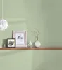A shelf with decorative items against a green wall. Produktbild-Vorschau