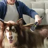 INF Professionelle Tierhaarschneidemaschine für Hunde und Produktbild-Vorschau 8