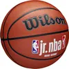 Wilson Palloni JR Nba Fam Logo Inout, WZ2009801XB Anteprima dell’immagine prodotto 2