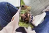 MuchoWow® Handyhülle Schutzhülle Hülle für iPhone SE 2020 Produktbild-Vorschau 3