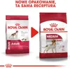 Royal Canin Adult Medium BF 4kg Zbilansowana Sucha Karma Podgląd zdjęcia produktu 16