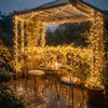 XINZI, 100 metrów, 1000 diod LED, miedziany drut Podgląd zdjęcia produktu 8