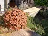 Edelrost Blume Hortensie Hortensie - 31 cm Produktbild-Vorschau 2