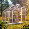 Serre de jardin en aluminium 5,85m³ abri extérieur de Voir les images du produit 2