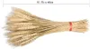50pcs Trockenblumen Weizen Natürliche Getrocknete Blumen Produktbild-Vorschau 7