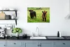 MuchoWow® Poster Schottische Hochlandrind - Gras - Kühe Produktbild-Vorschau 3