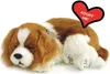 Perfect Petzzz Cavalier King Charles 96309 Produktbild-Vorschau 4