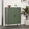 A green metal cabinet with two doors stands against a white wall next to a large potted plant. Produktbild-Vorschau