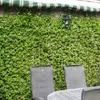 A garden scene with chairs and a table in front of a wall covered in green ivy. Podgląd zdjęcia produktu