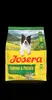 Josera | Hundefutter | Salmon & Potato 900g Produktbild-Vorschau 4