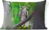 MuchoWow® Outdoor Kissen - Eule auf Ast sitzend - 60x40 cm Produktbild-Vorschau 1