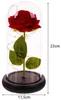 Rose im Glas - leuchtend Malatec 21619 Produktbild-Vorschau 16