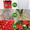 Grow Bags 3 Gallonen für Erdbeeren Gemüse 12 Pflanzlöcher, Produktbild-Vorschau 5