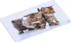 Lavagna decorativa Kesper, motivo "Gatto", melamina, Anteprima dell’immagine prodotto 1