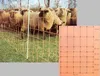 Euro-Netz "Plus" 106/2 - 50 m Schaftnetz Produktbild-Vorschau 2