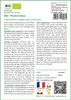 SAFLAX  -- Fenouil doux - 100 graines - Foeniculum Voir les images du produit 3