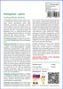SAFLAX Garden to go - Madagaskar - palma - Pachypodium Náhľad obrázku produktu 3