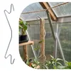 Relaxdays Tomaten Haken, 15er Set, 5 Meter kompostierbare Produktbild-Vorschau 3