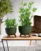 Súprava kvetináčov Rosa linea Eco wood green Náhľad obrázku produktu 2