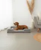 A dog lying on a dog bed in a living room. Náhled obrázku produktu