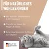 REAVET Magen & Darm Tropfen für Katzen 50ml I Darmsanierung Produktbild-Vorschau 5