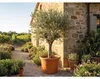 Pflanzkübel Campanula Kunststoff Ø 68 cm H 45,8 cm Produktbild-Vorschau 4